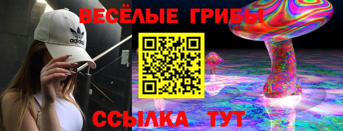 Псилоцибиновые грибы Cubensis Гатчина