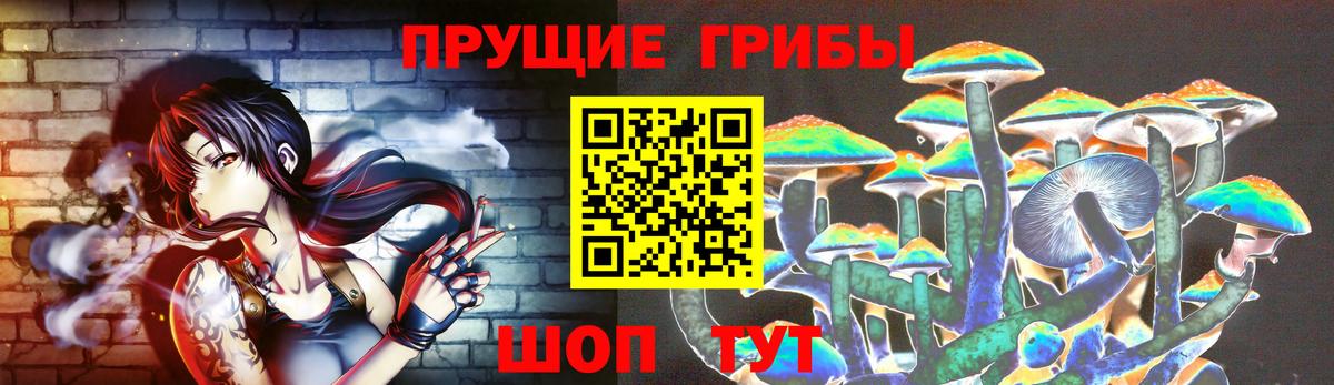 Галлюциногенные грибы Psilocybe  Псилоцибиновые грибы ЛСД  Вход с VPN  купить наркотики сайты  Гатчина 